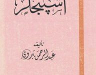 كتاب اشبنجلر - عبد الرحمن بدوي