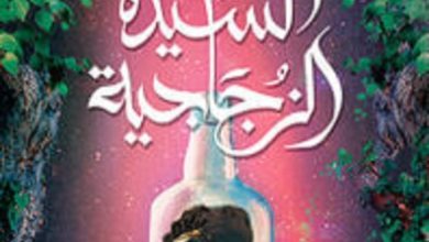 رواية السيدة الزجاجية - عمرو العادلي